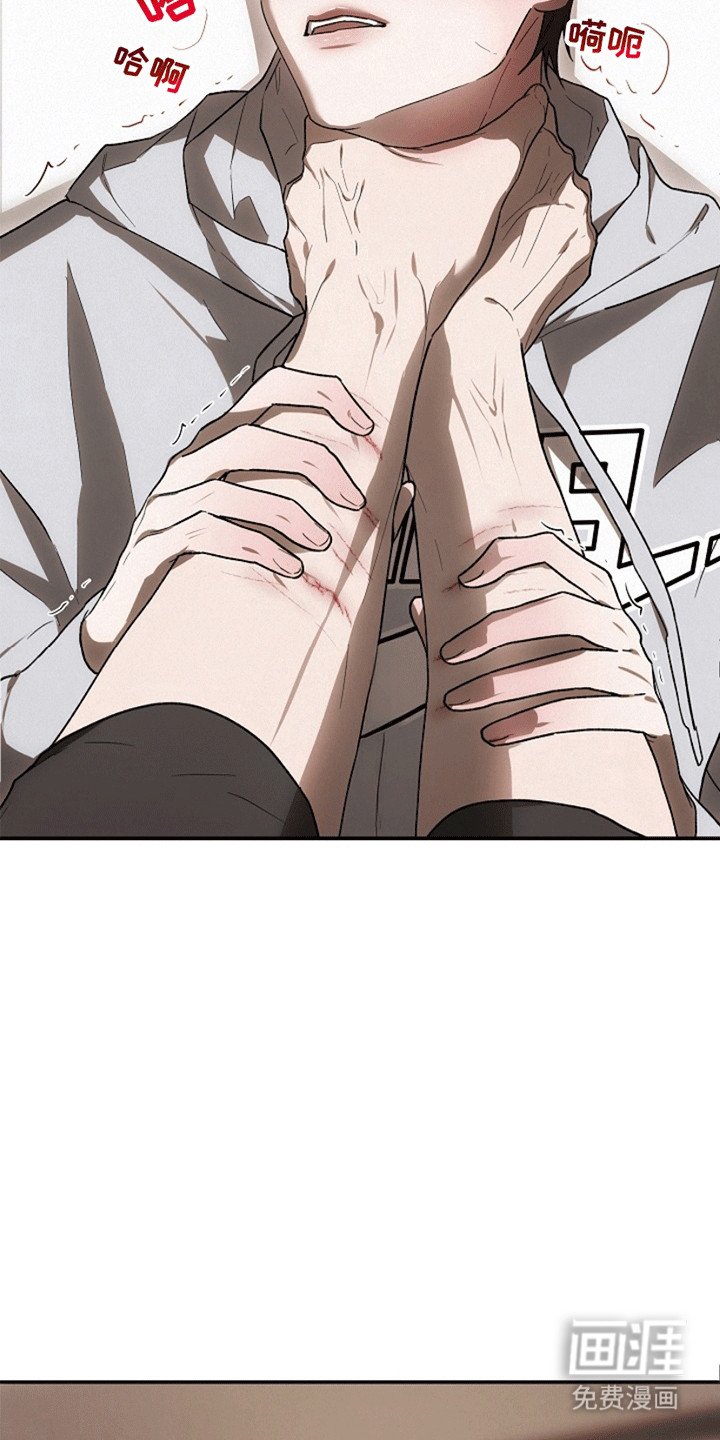 第9章：挑衅