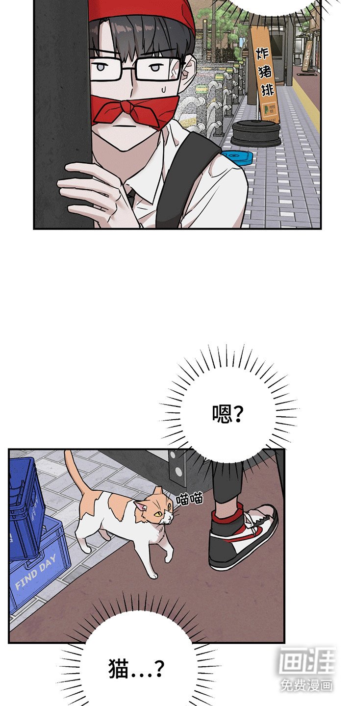 第11章：改观