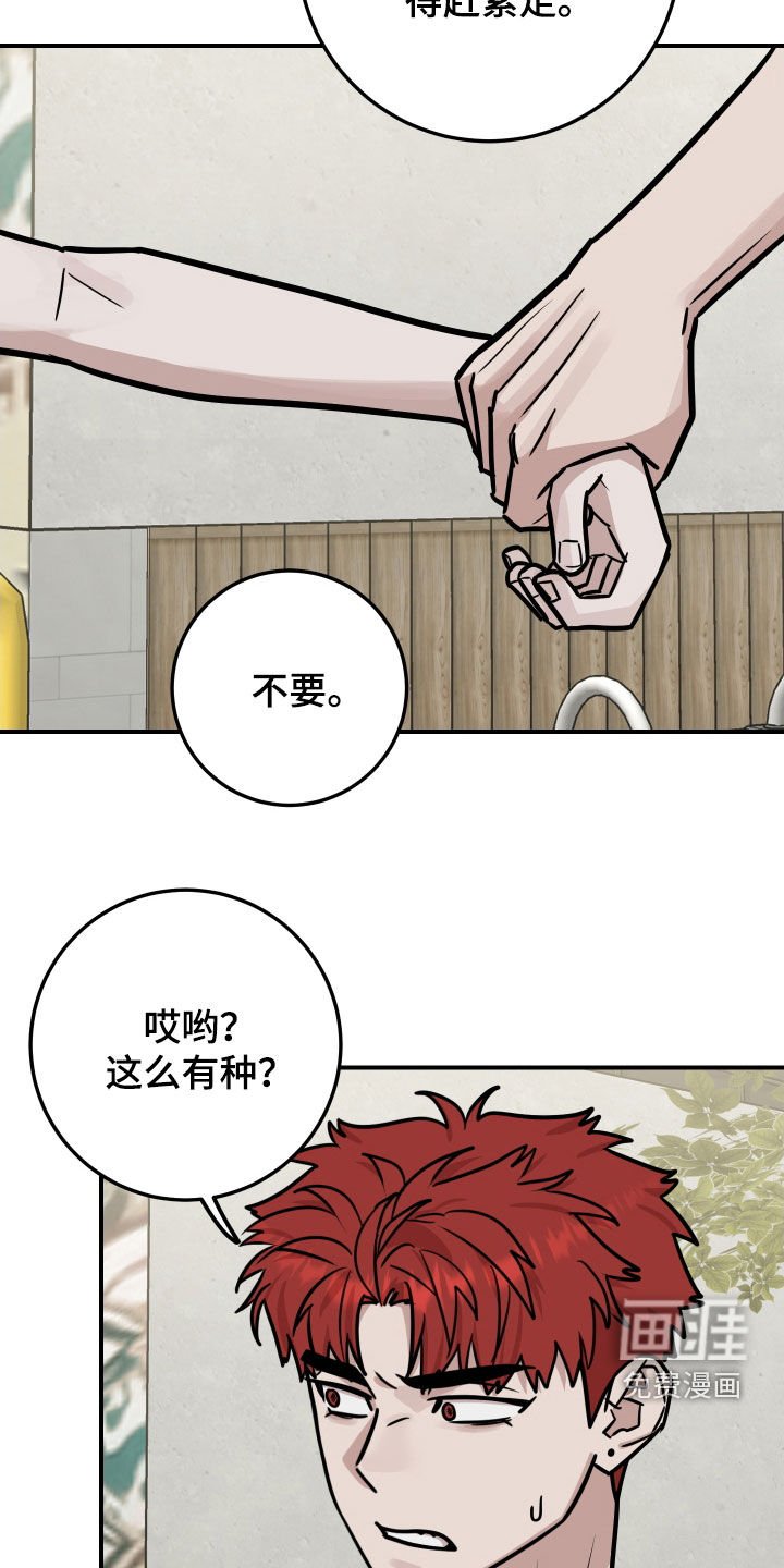 第21章：不是丑八怪