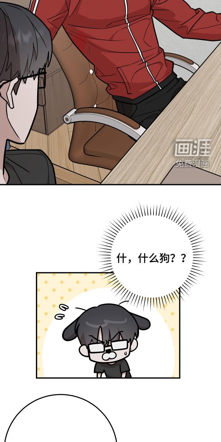 第25章：坦白