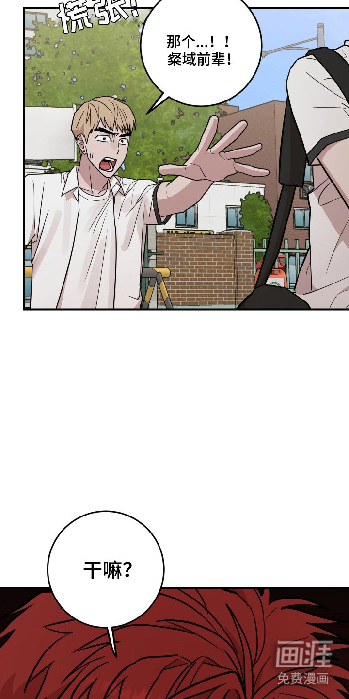 第39章：保护他