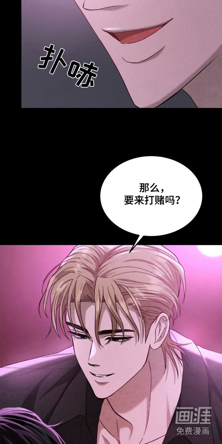 第5章：挑衅
