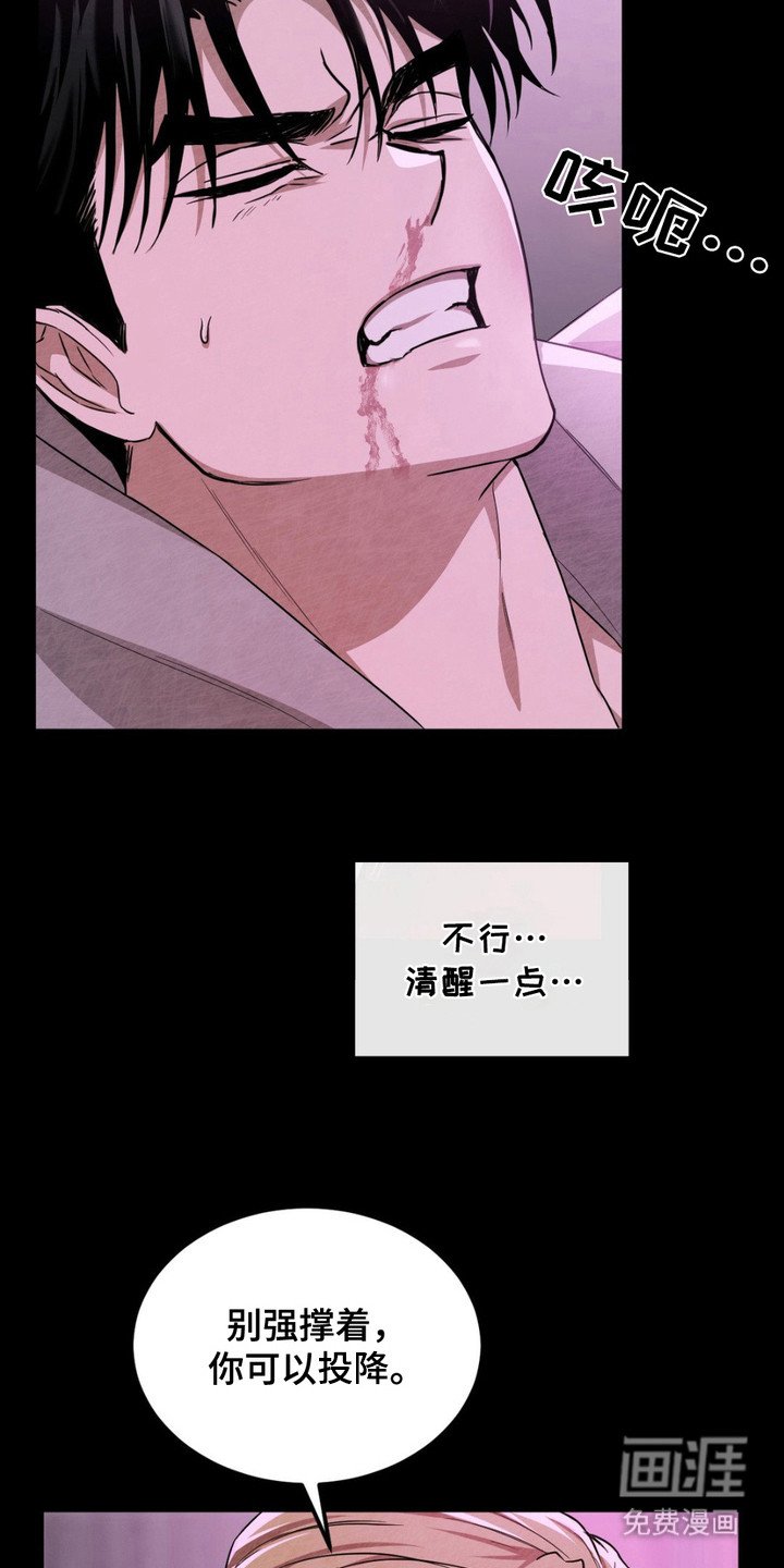 第5章：挑衅
