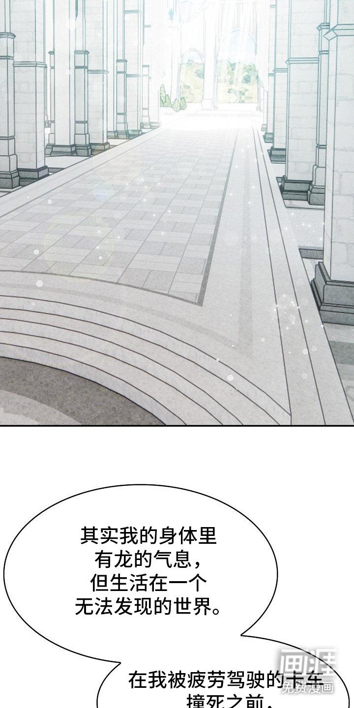 第2章：精灵女