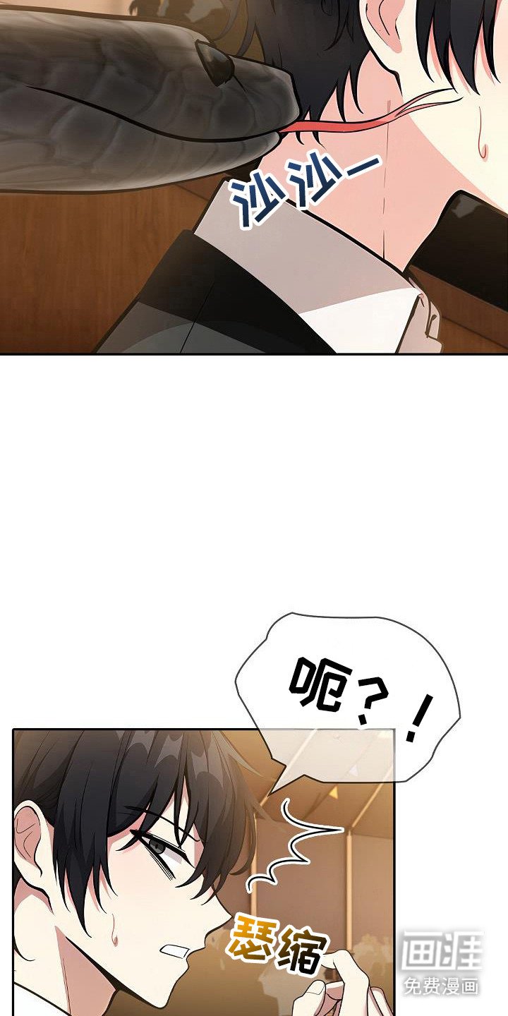 第27章：不信任