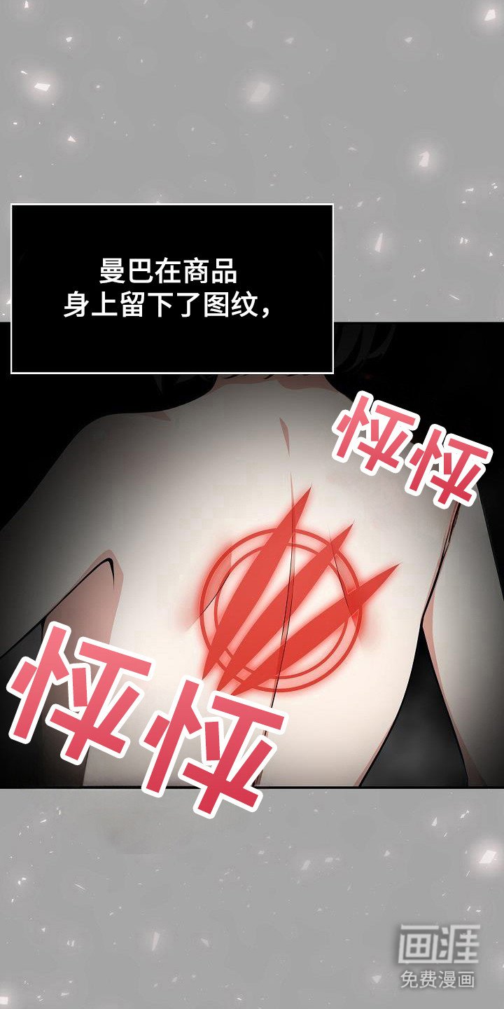 第41章：支援