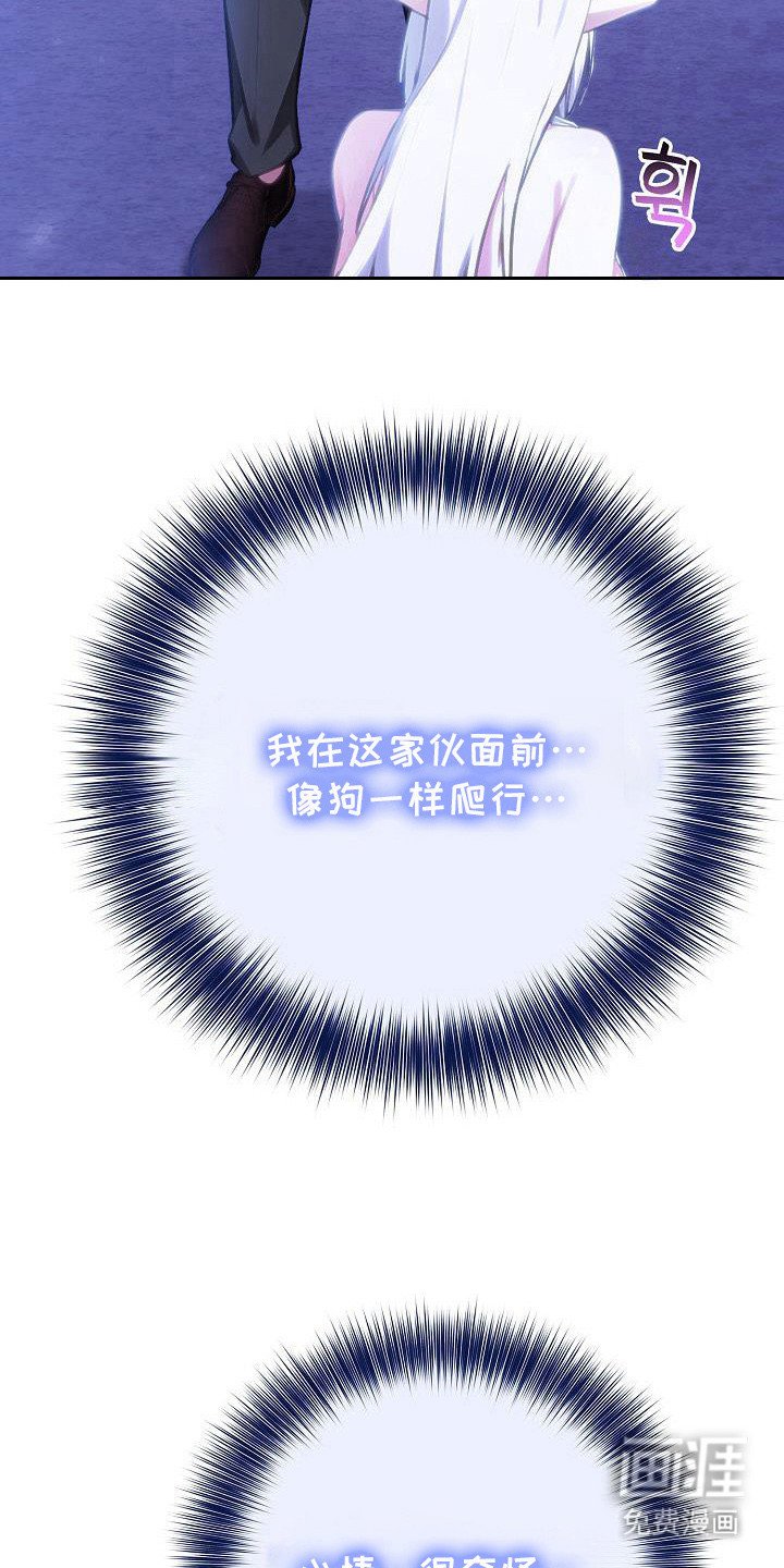 第53章：准备开始