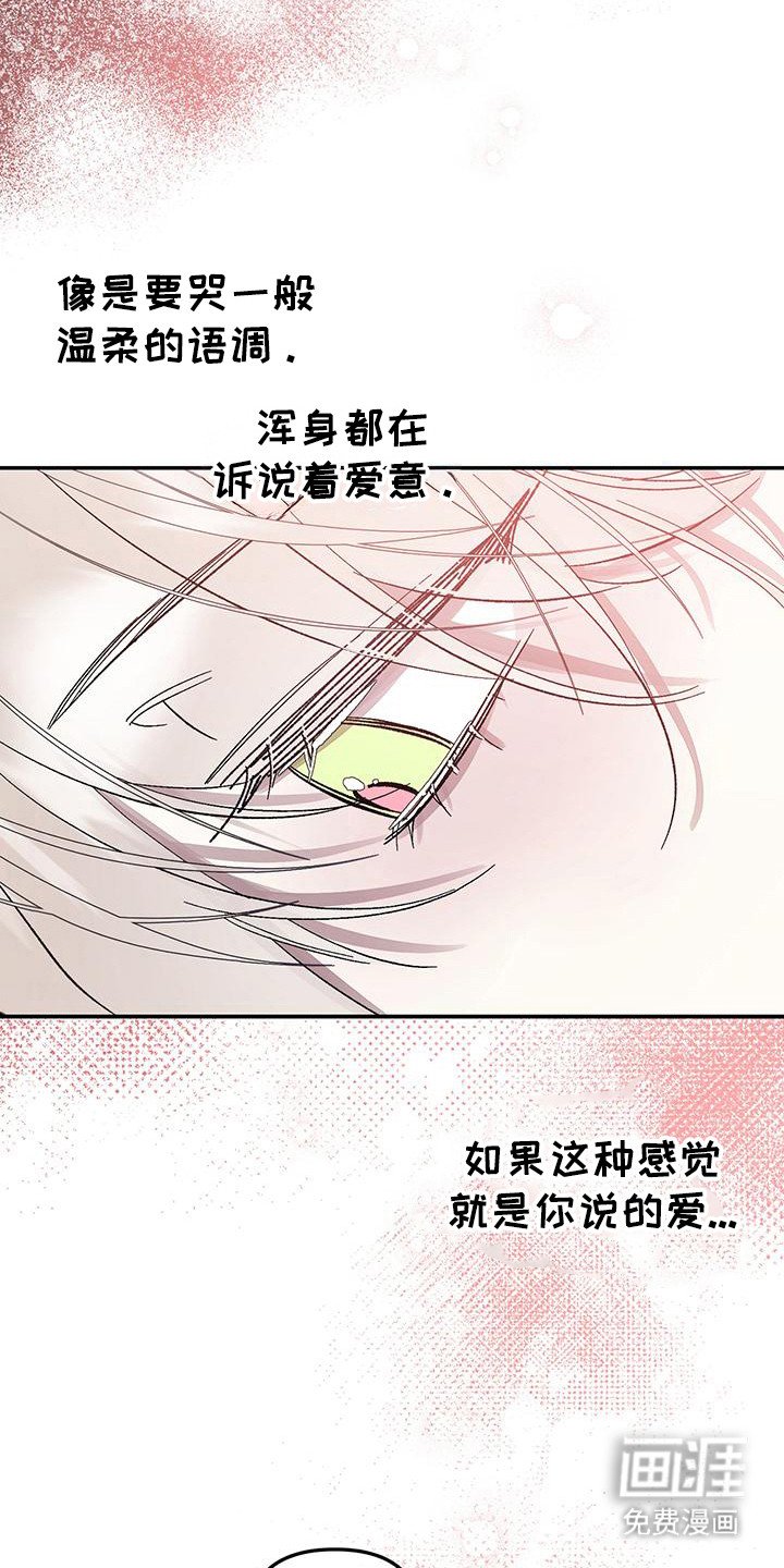 第11章：唯一的爱