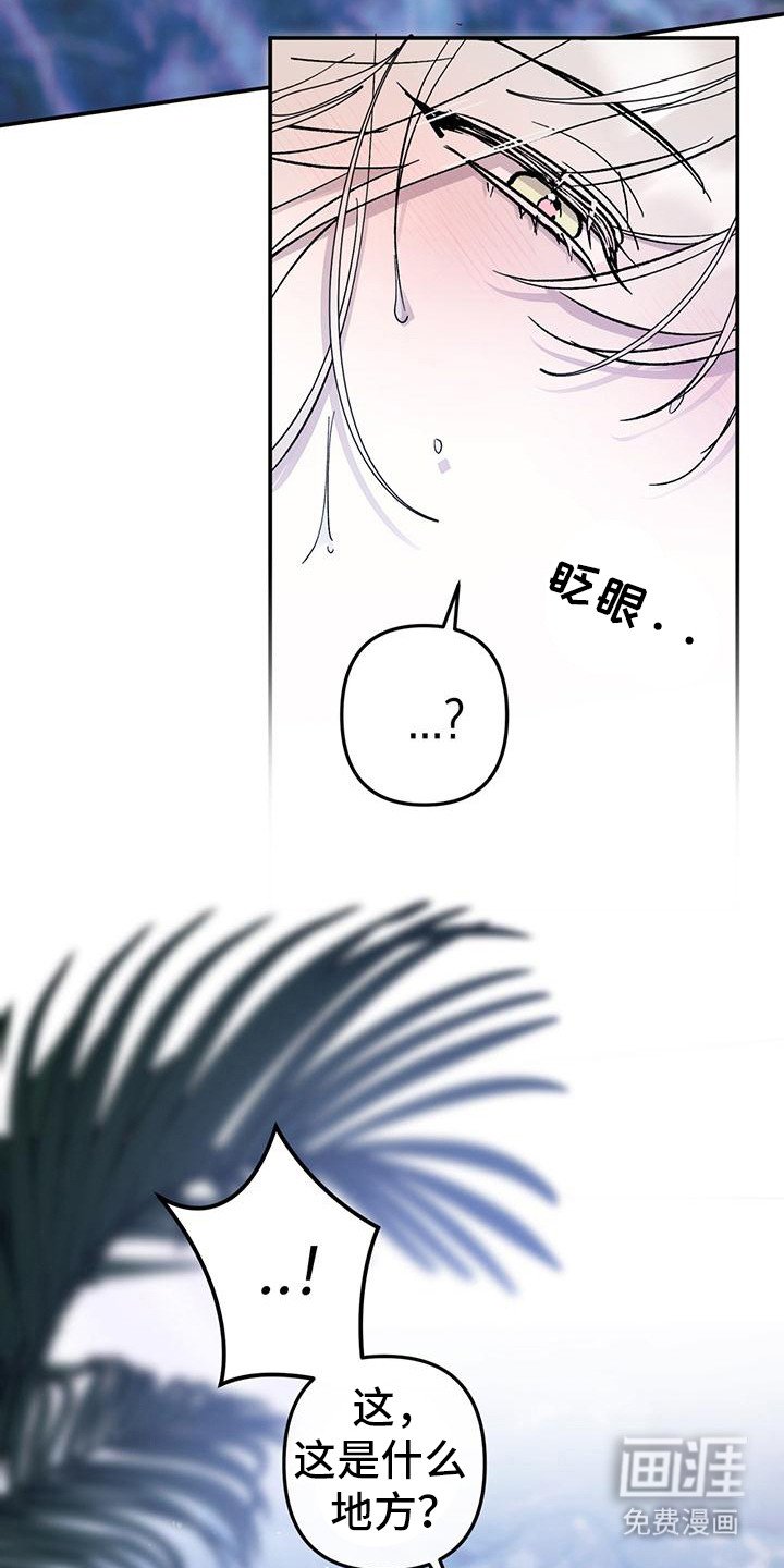 第12章： 撒娇