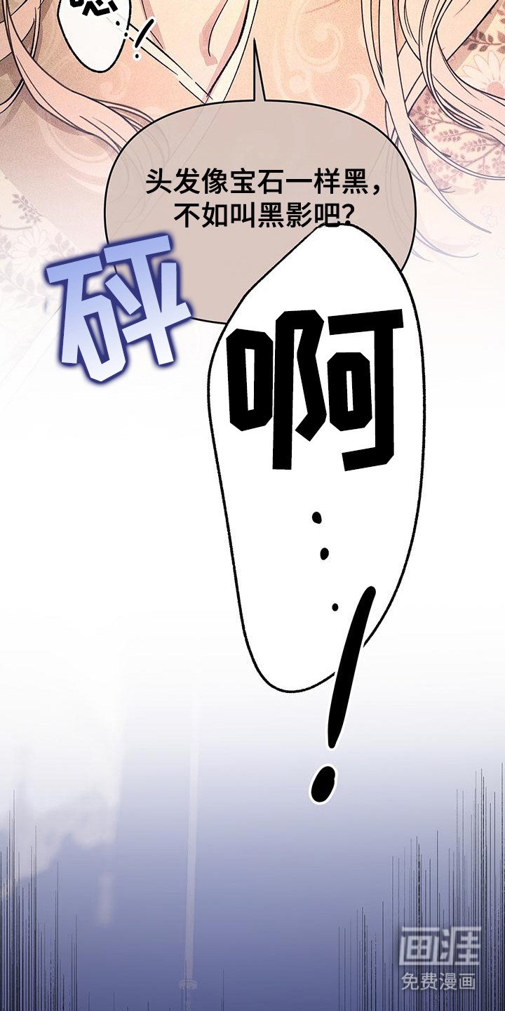 第3章：做梦