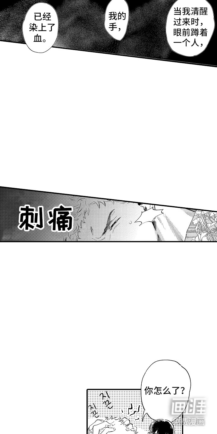 第10章：一些了解