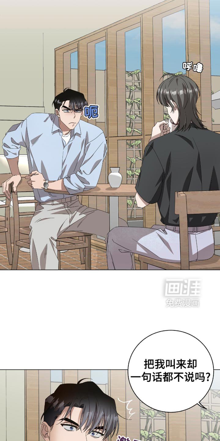 第21章：用语言扇巴掌
