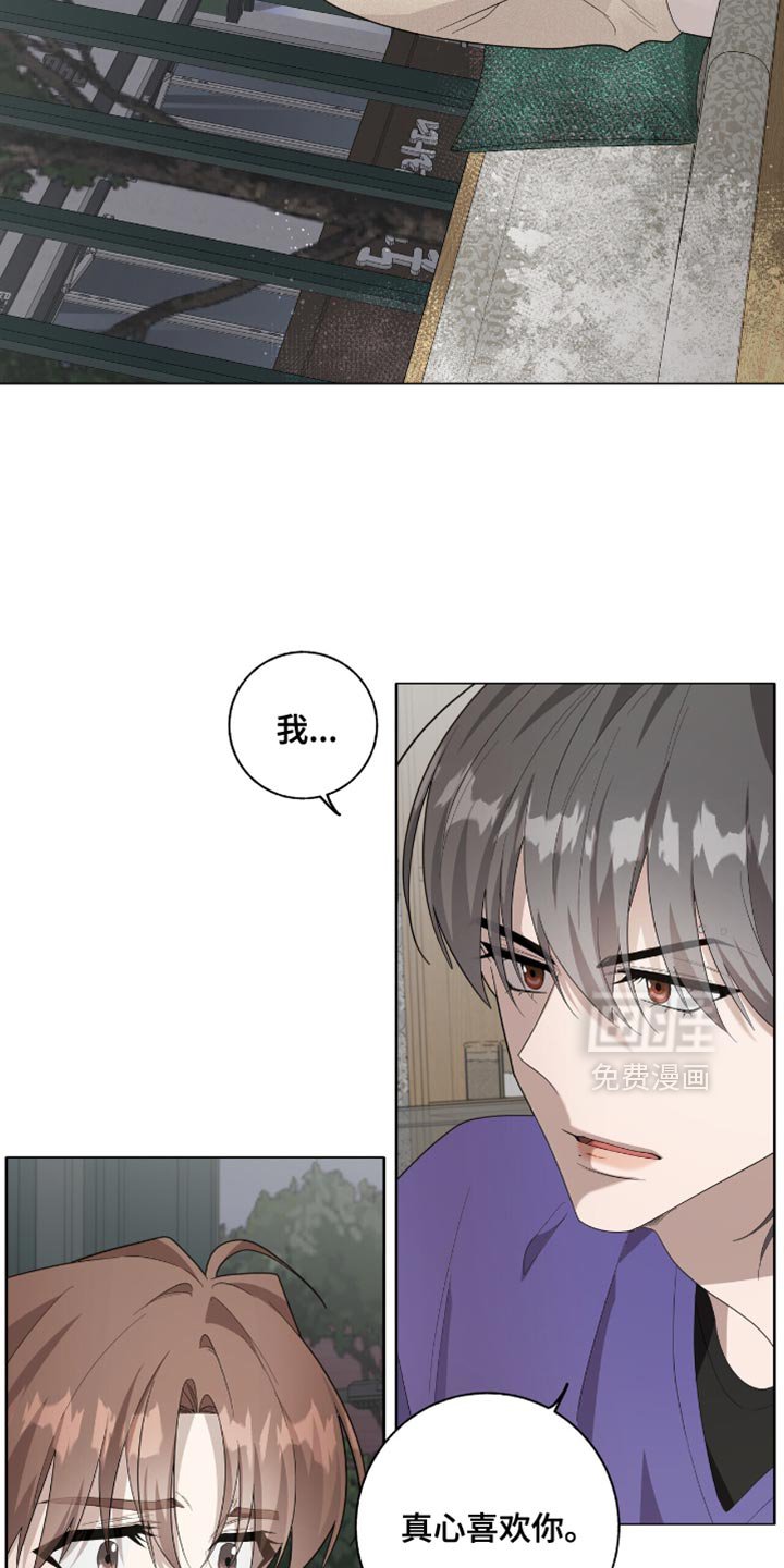 第51章：真是交往吗？