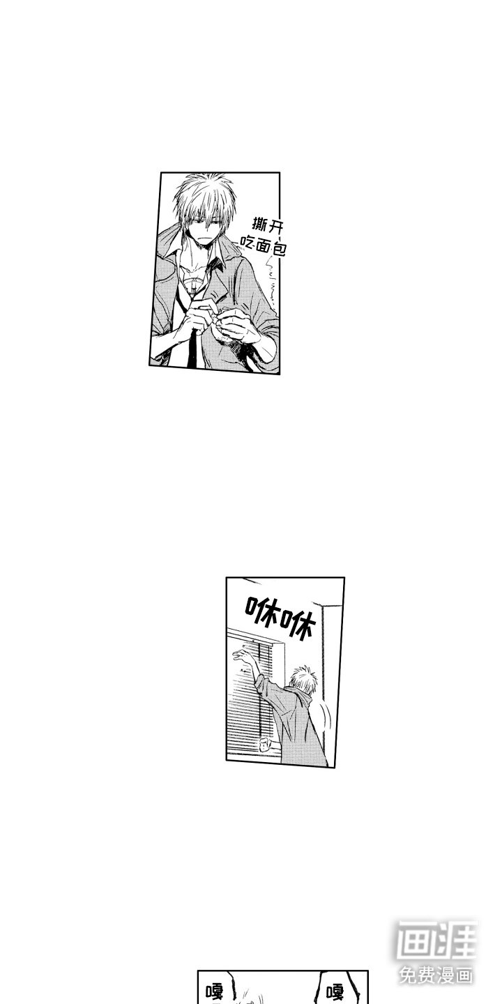 第13章：不要失去
