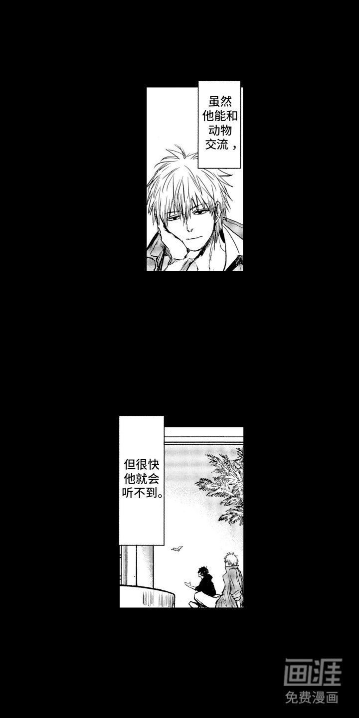 第14章：特别的办法