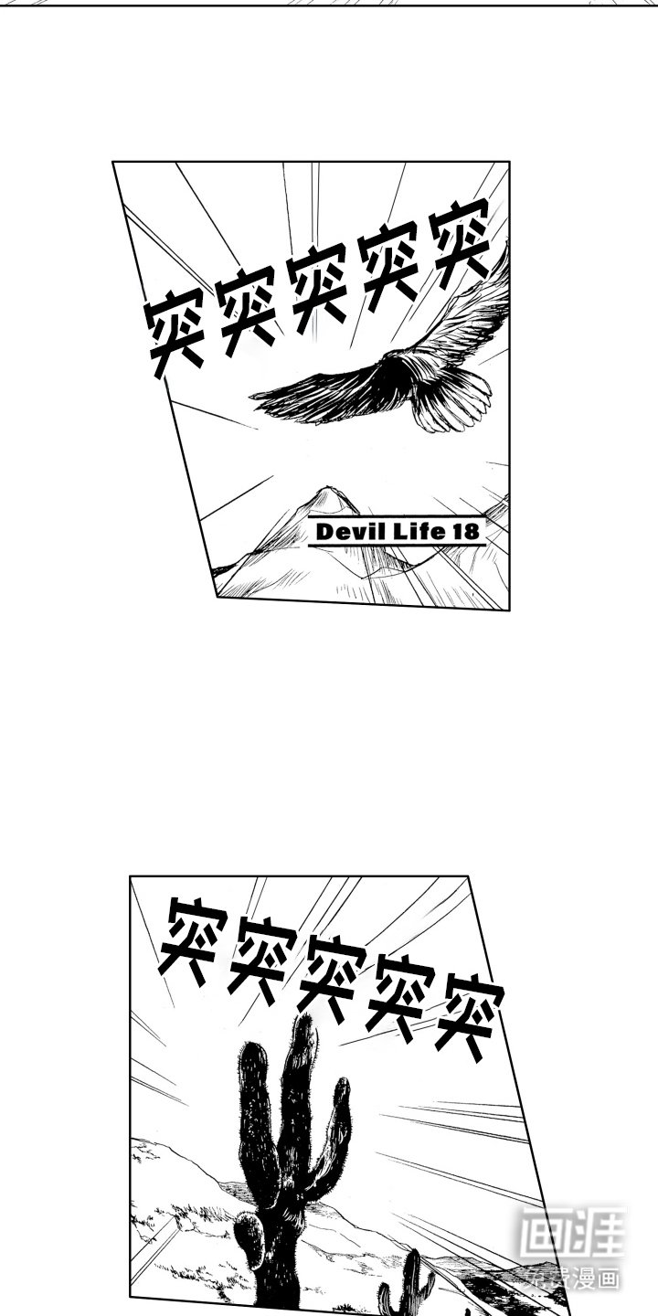 第6章：调查