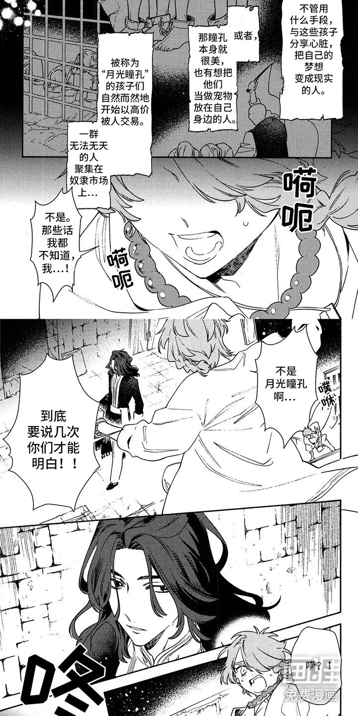 第11章：月光瞳孔