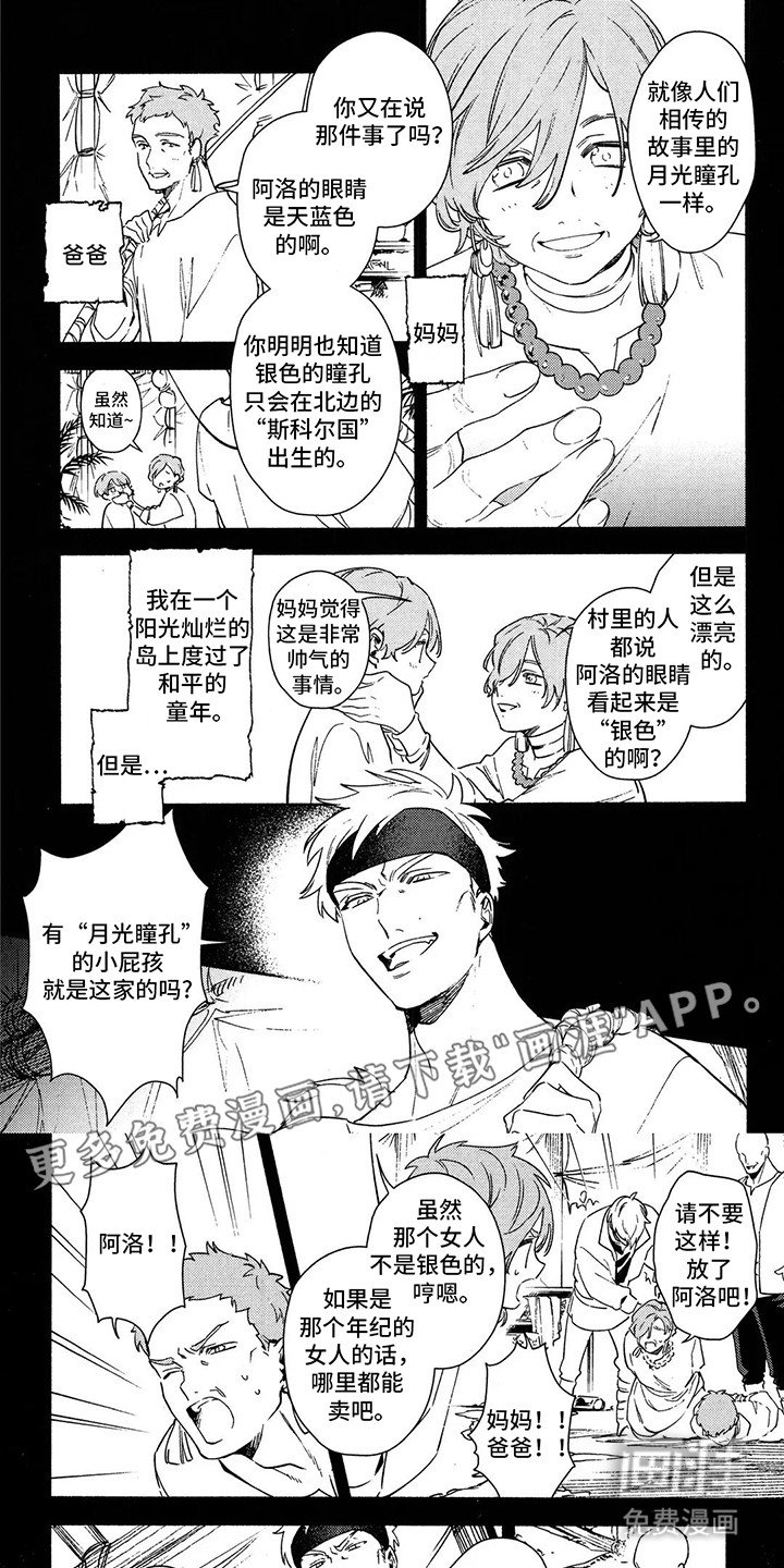 第11章：月光瞳孔