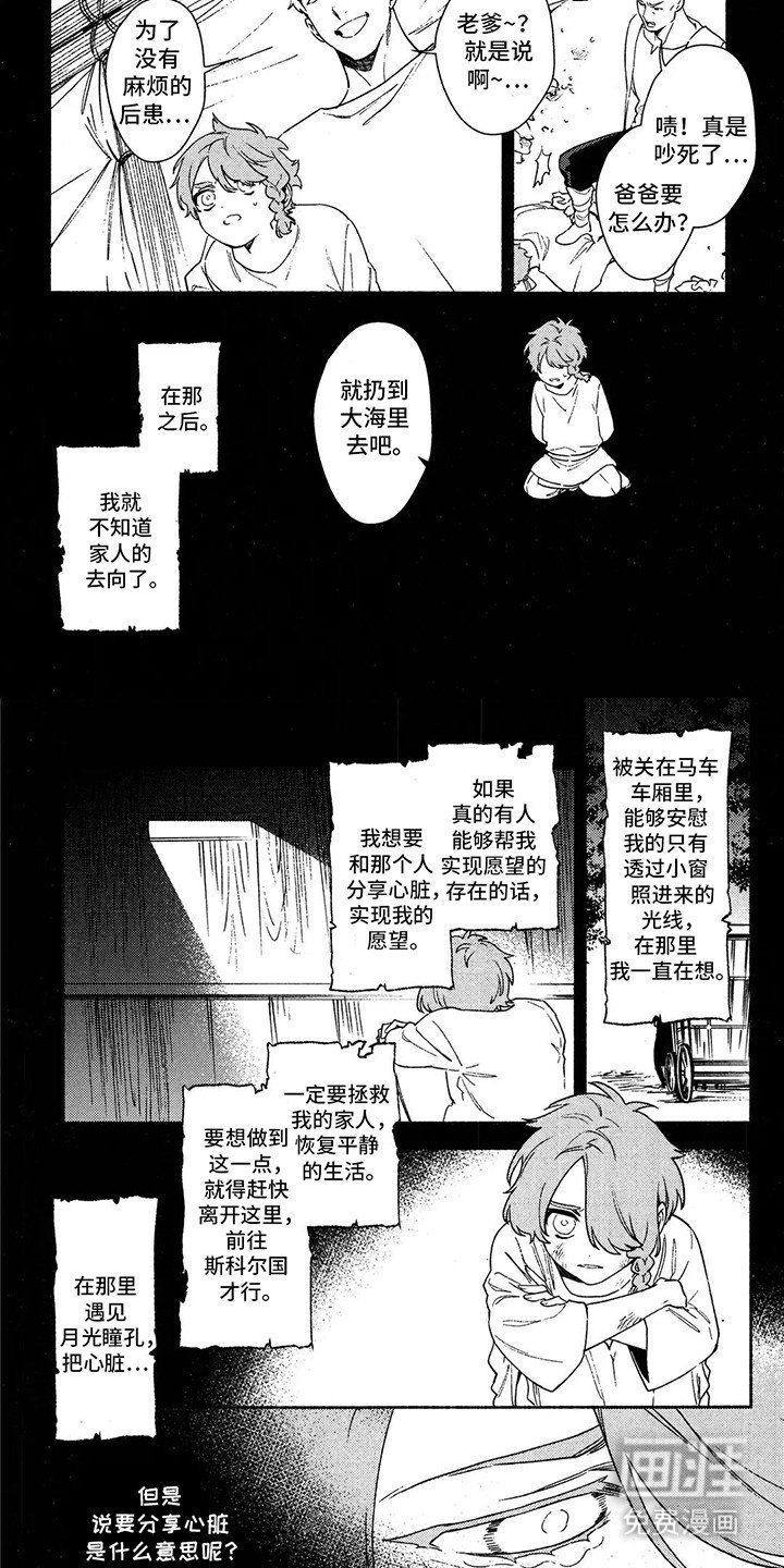 第11章：月光瞳孔
