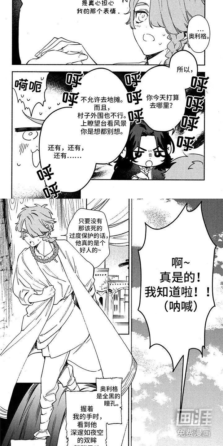 第12章：过度保护
