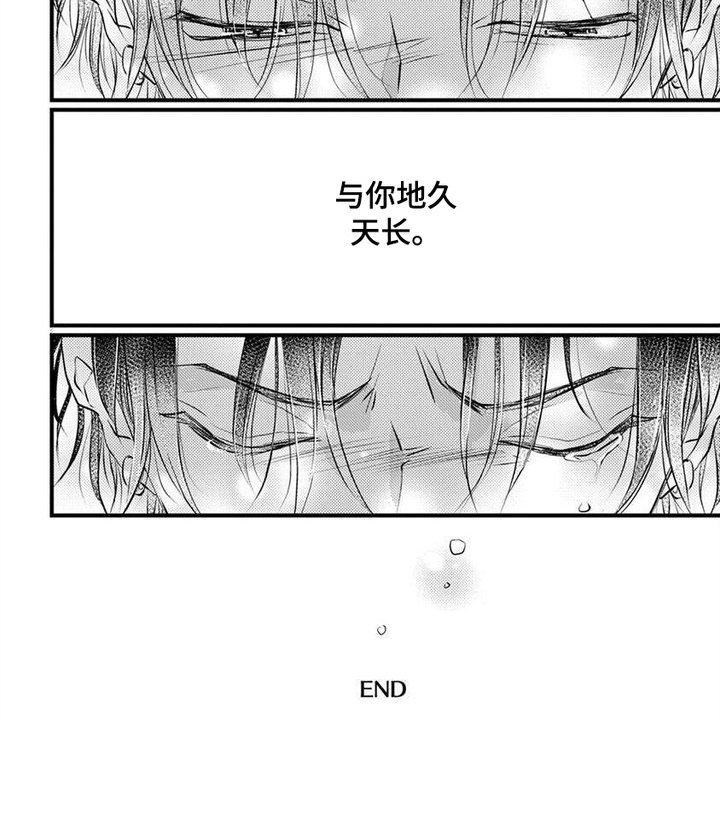 第17章：天长地久（完结）