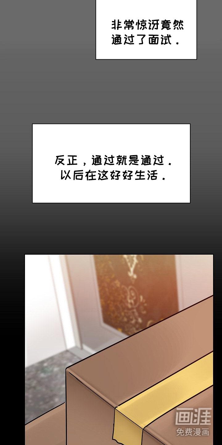 第2章：面试