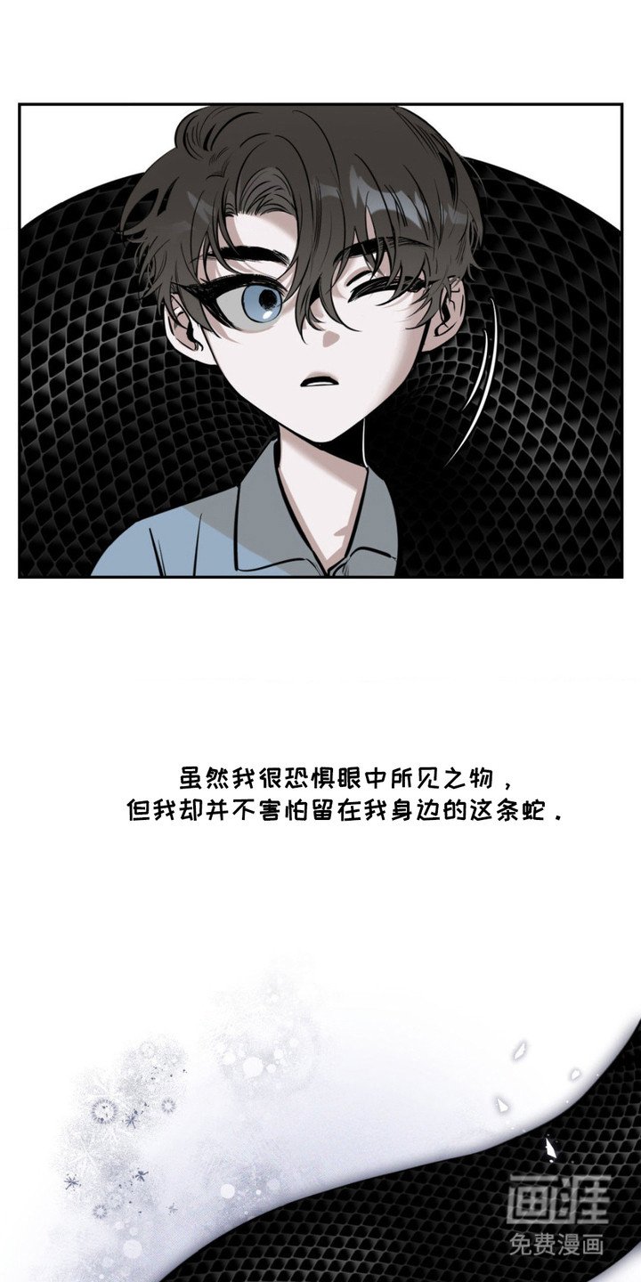 第1章：无头蛇