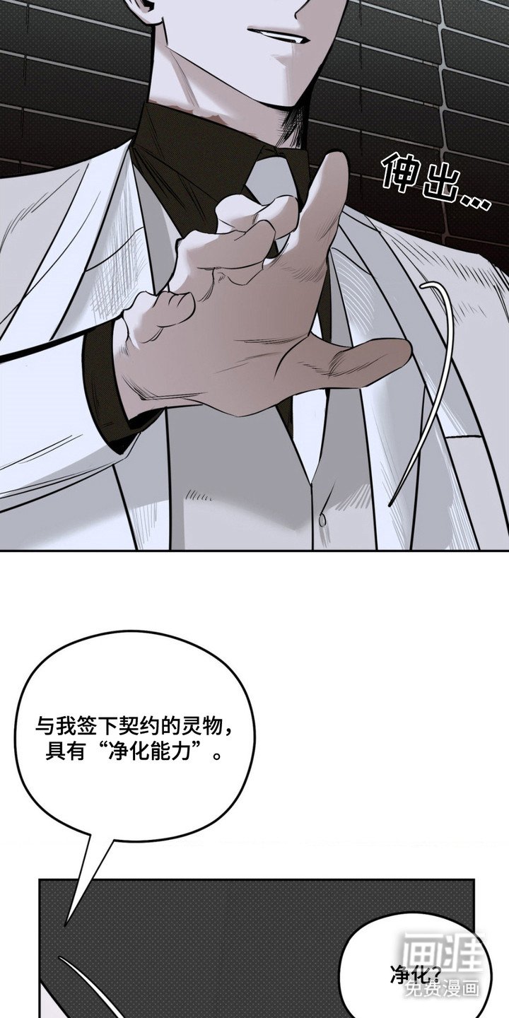 第10章：净化能力