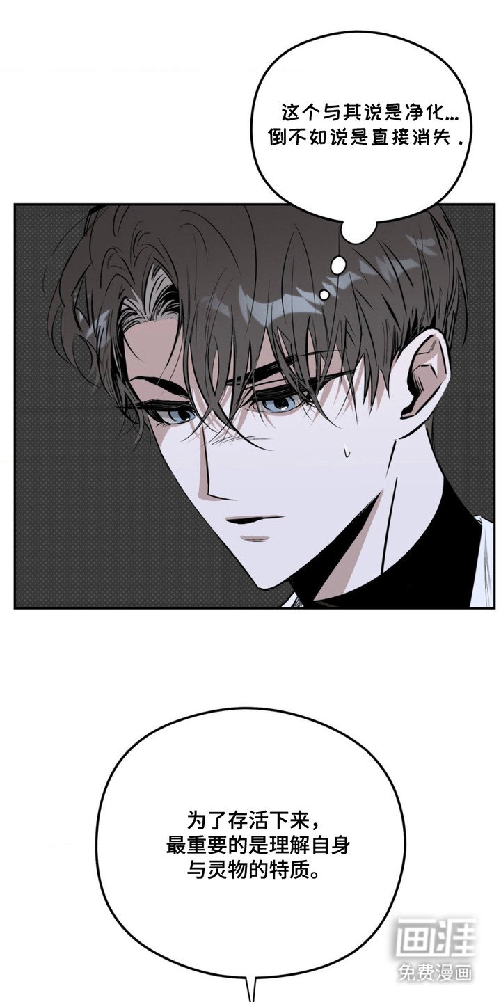 第10章：净化能力
