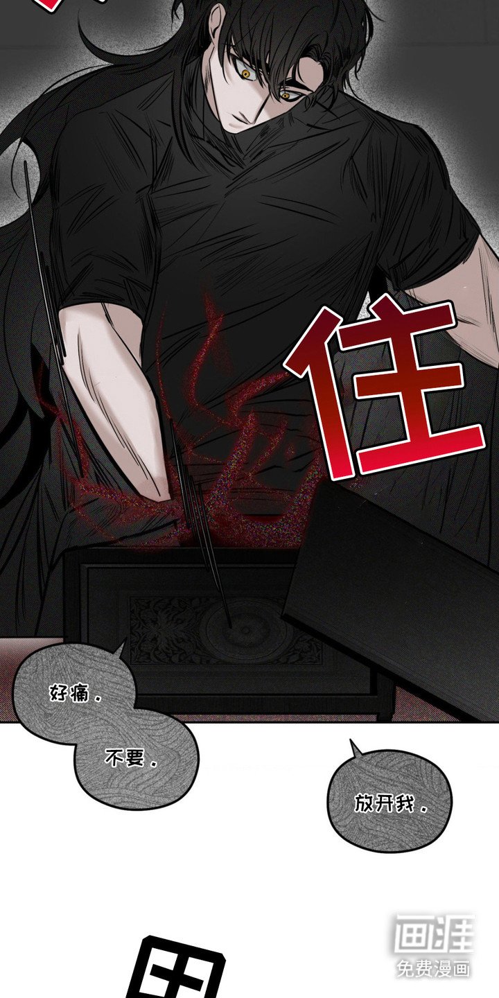 第10章：净化能力