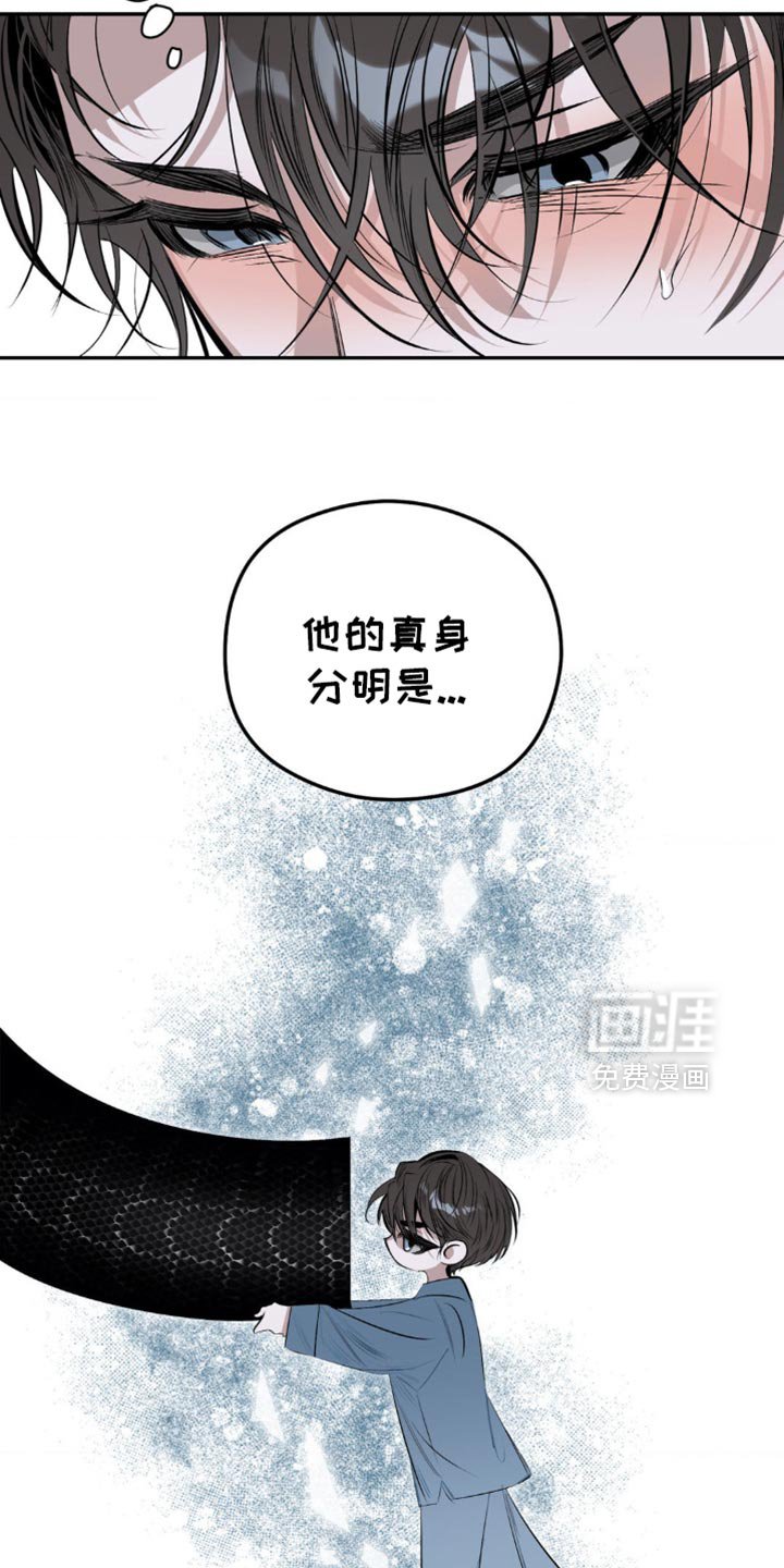 第12章：有利的存在