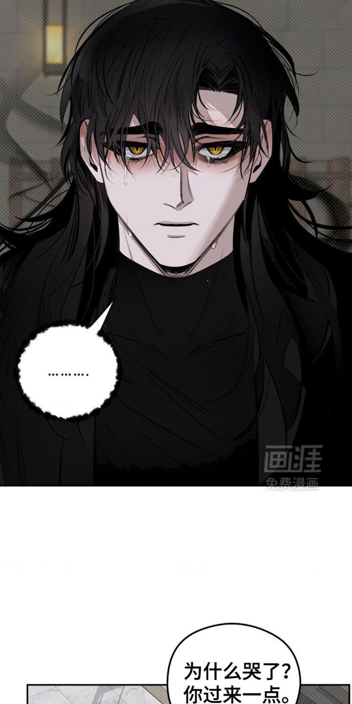 第13章：他真的听懂了吗