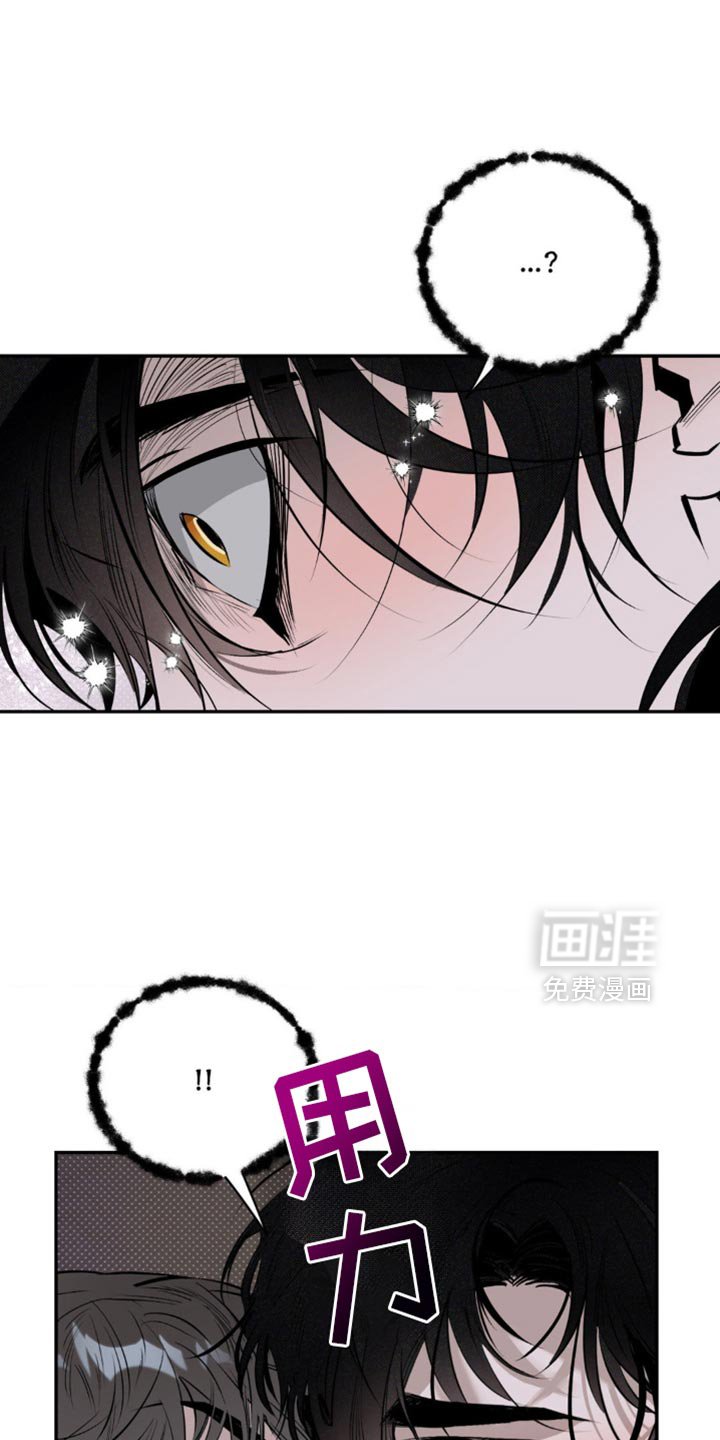 第15章：不要害怕