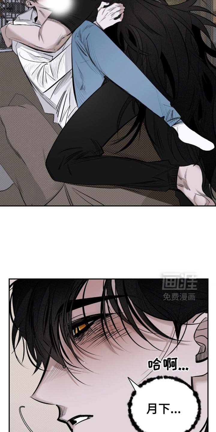 第15章：不要害怕