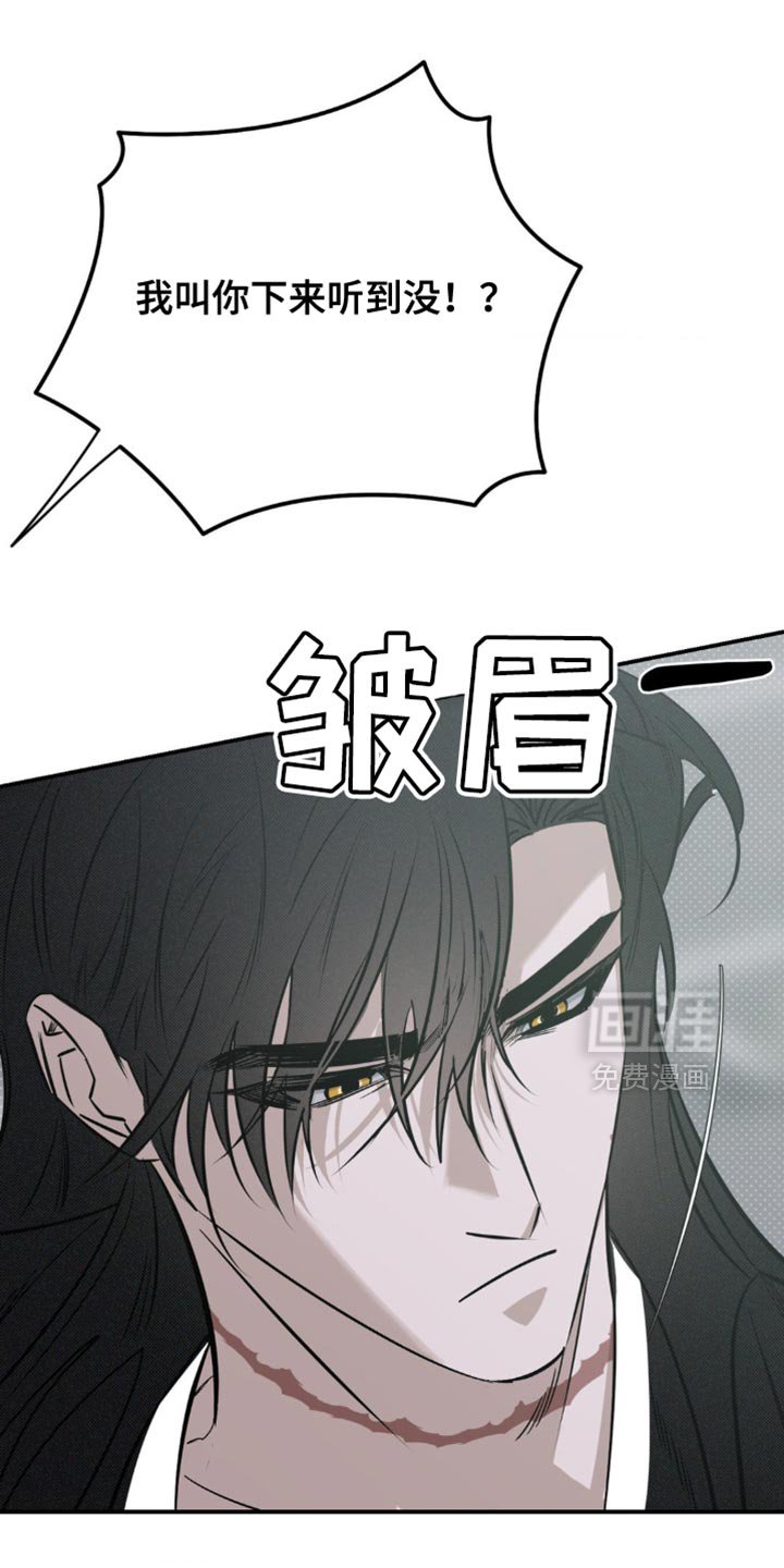 第18章：找猫