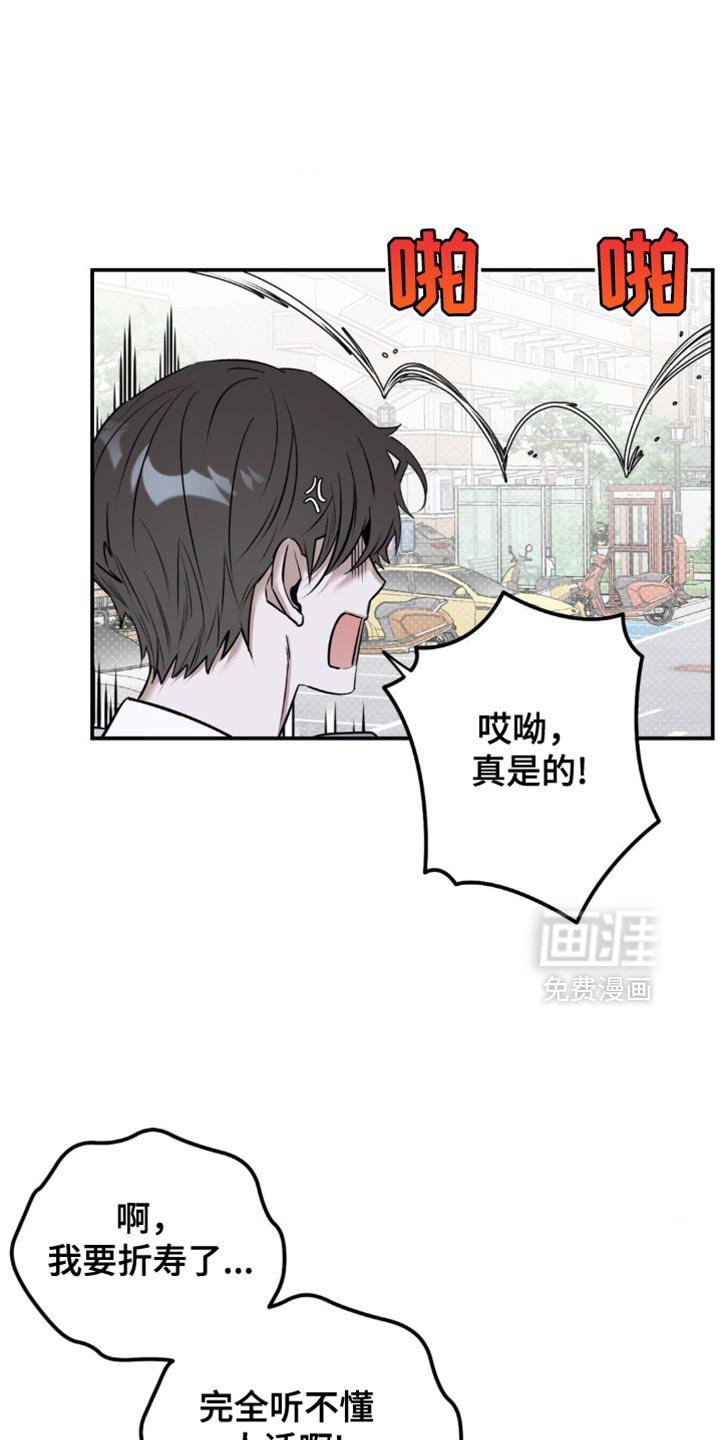 第18章：找猫