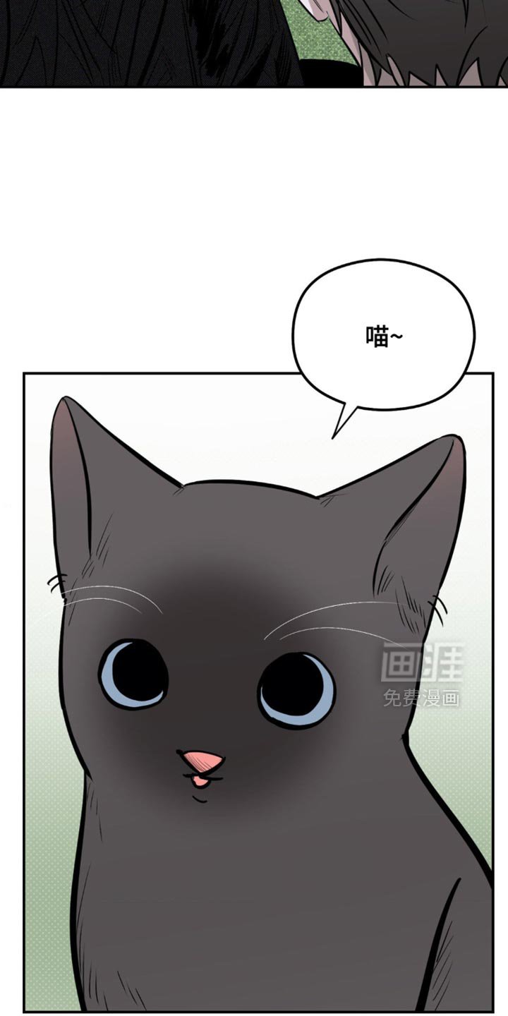 第18章：找猫