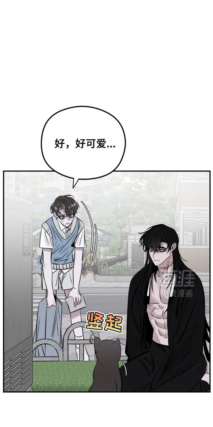 第18章：找猫