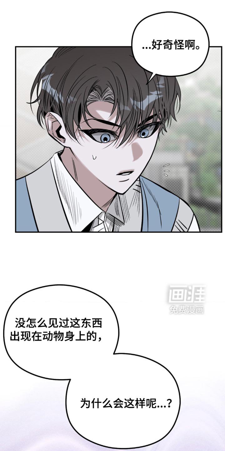 第18章：找猫