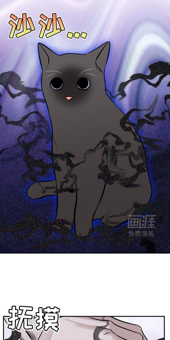 第18章：找猫