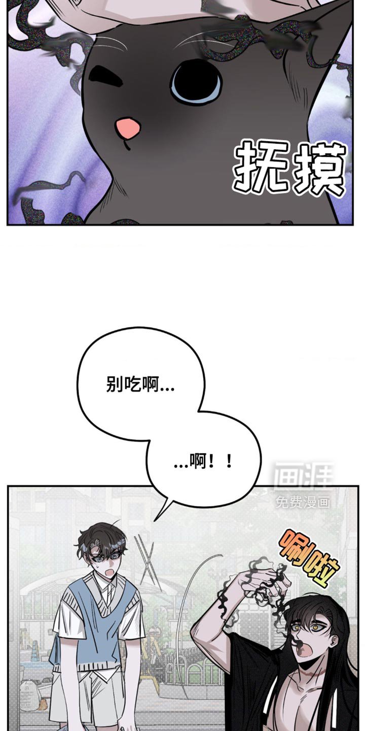 第18章：找猫