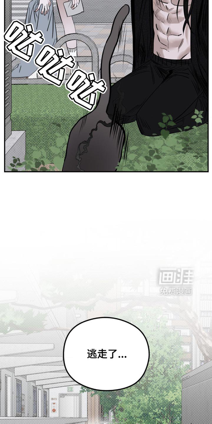 第18章：找猫