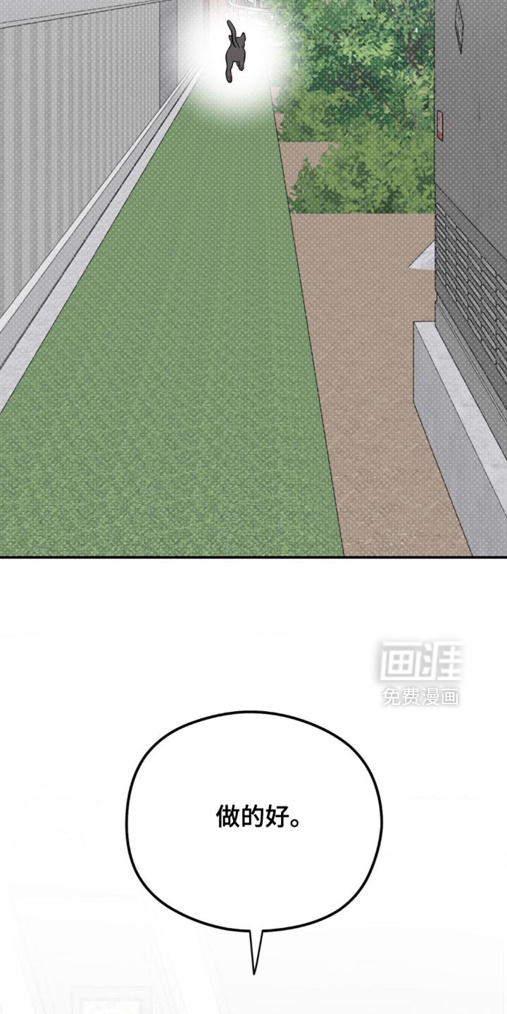 第18章：找猫