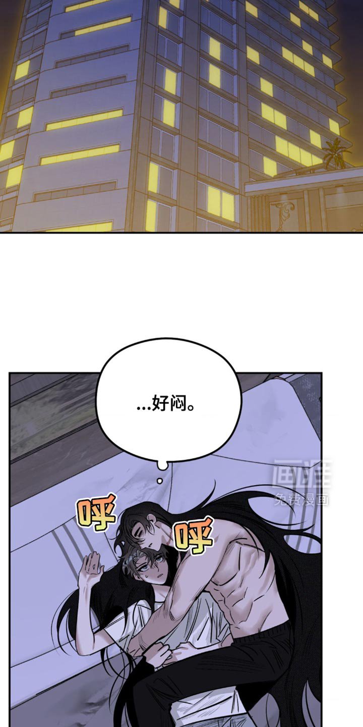第18章：找猫