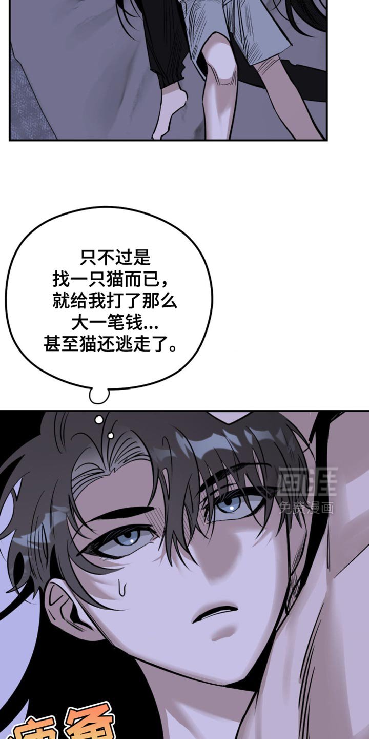 第18章：找猫