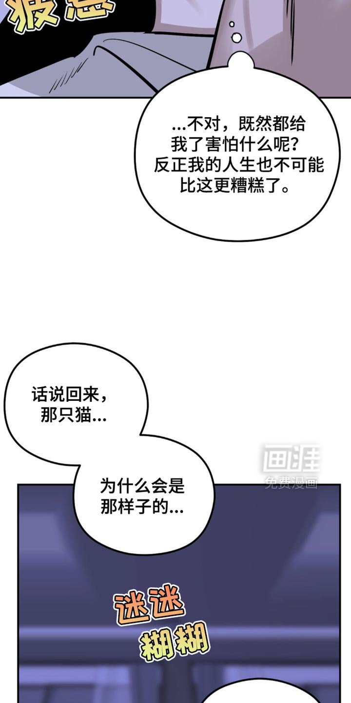 第18章：找猫