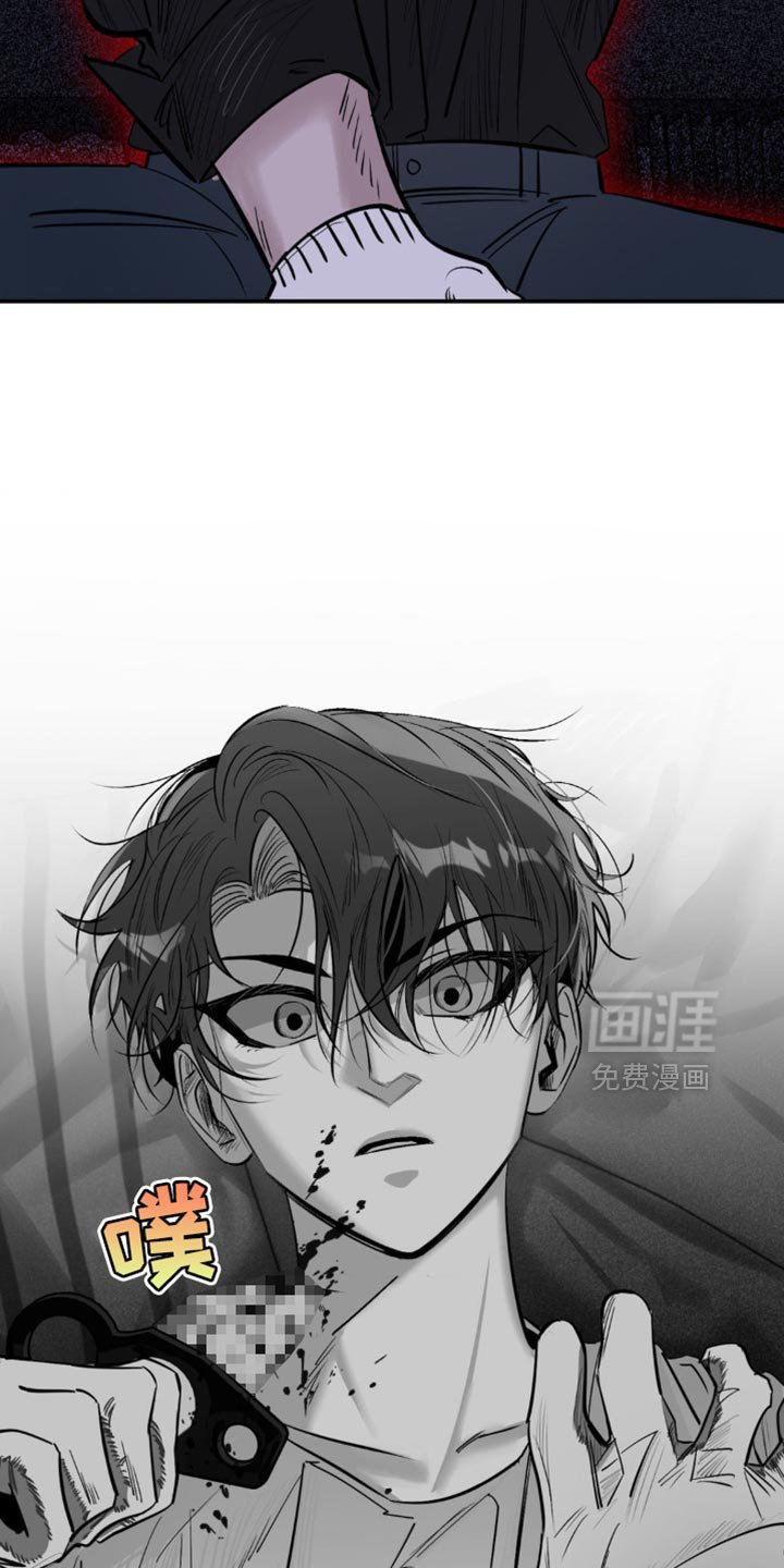 第18章：找猫
