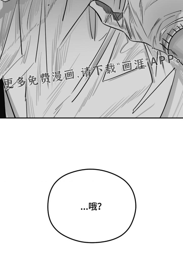 第18章：找猫