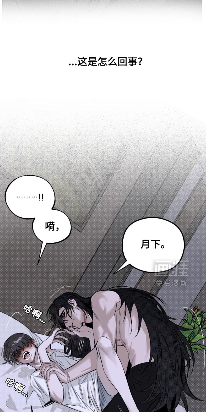 第19章：它们憎恨我