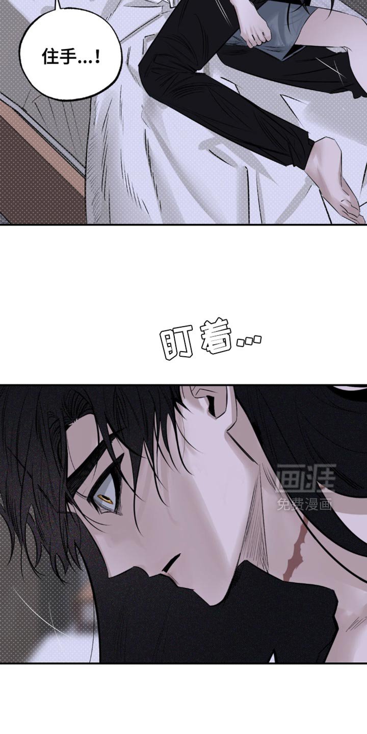 第19章：它们憎恨我